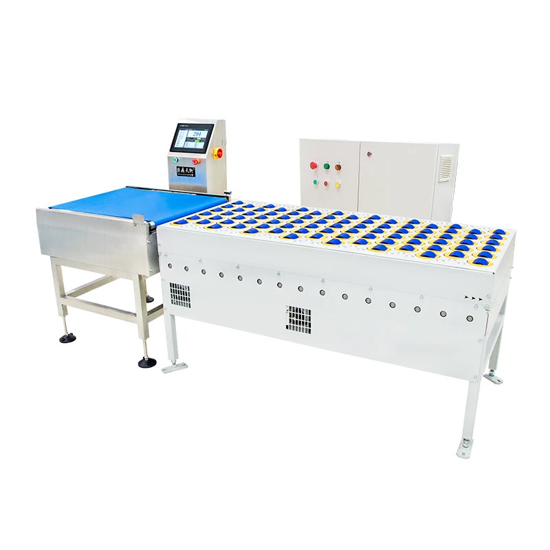 Customized Removal Belt Scale